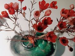 -旺顺阁鱼头泡饼(常营店)