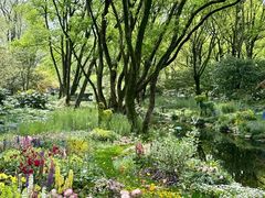 -上海共青森林公园