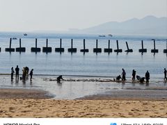 -青岛第二海水浴场