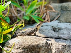 -可伦宾野生动物保护区