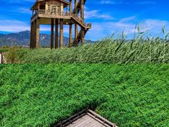 -野鸭湖国家湿地公园