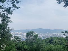 -灵岩山风景区