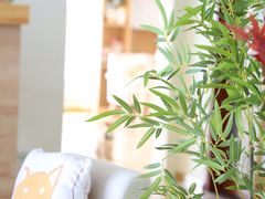 -柴犬小屋·柴餐厅·狗咖食堂(金鼎广场店)