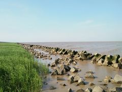 -南汇嘴观海公园