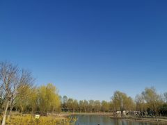 -东郊湿地公园