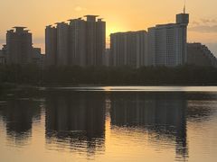 -莲花池公园