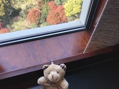 -常州环球恐龙城维景国际大酒店