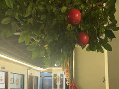 -李东农庄(中南百草园地标店)
