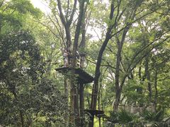 -WeLope紫金山探险公园