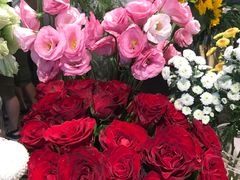 -植物学家的女儿(北马道巷店)