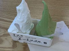 -野人先生Gelato(上海长宁龙之梦店)