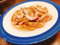 -新海渔港·胶东海鲜家常菜·家宴(奥体中心店)