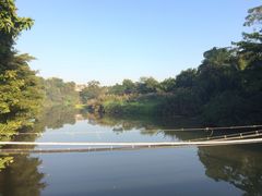 -南宁良凤江国家森林公园