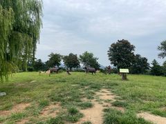 -鬼笑石后山停车场