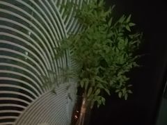 -华夏良子·足道SPA艾灸(金皇大厦店)