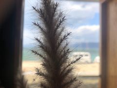 -大理无舍度假酒店