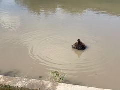 -上海野生动物园