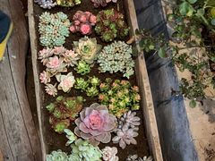 -全有福烙锅店小院