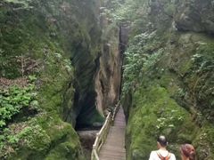 -牛背梁国家森林公园