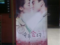 海报-SFC上影影城(新世界店)