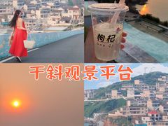 -枸杞岛