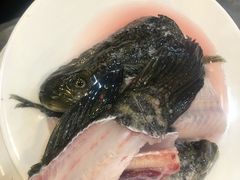 -活鱼馆(宜兴埠店)