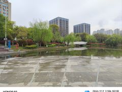 -南翔镇银翔湖公园