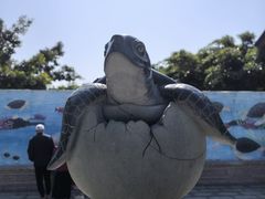 -广东惠东海龟国家级自然保护区