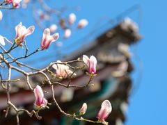 -颐和园