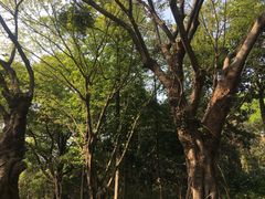 -云溪植物园