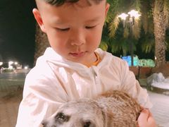 -清迈夜间动物园