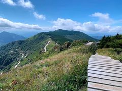 -白草畔自然风景区