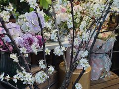 -循礼门鲜花花市(武汉循礼门店)