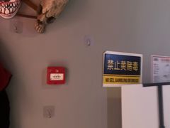 -Xcape异时刻密室逃脱魔法互动(瑞虹天地太阳宫店)