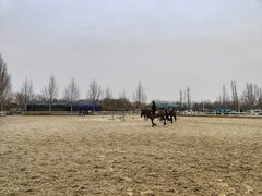 -北京群众马术培训基地