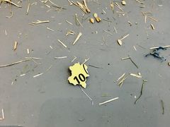 -弓舍射箭俱乐部(高新总店)
