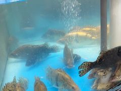 -耕渔小院·湖南鱼鲜(望城店)