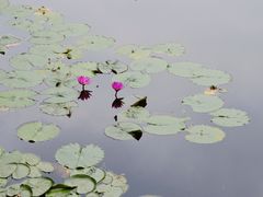 -烈士陵园(地铁站)