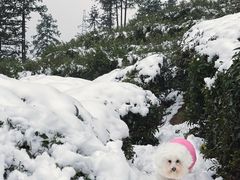 -四明山国家森林公园