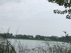 -微山湖红荷湿地景区