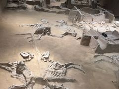 -洛阳周王城天子驾六博物馆