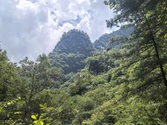 -青峰峡国家森林公园