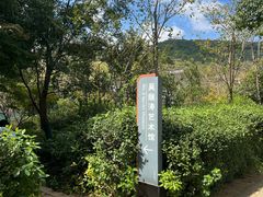 -雨花胜境