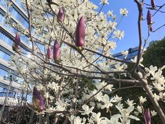 -浦江镇(地铁站)