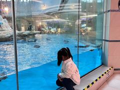 -帝企鹅自助餐厅•儿童岛•真企鹅(长隆企鹅酒店)