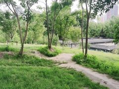 -莲花池公园