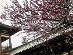 -法门文化景区