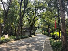 -东湖落雁景区