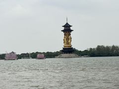 -溱湖国家湿地公园