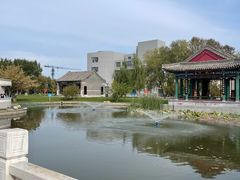 -东北农业大学